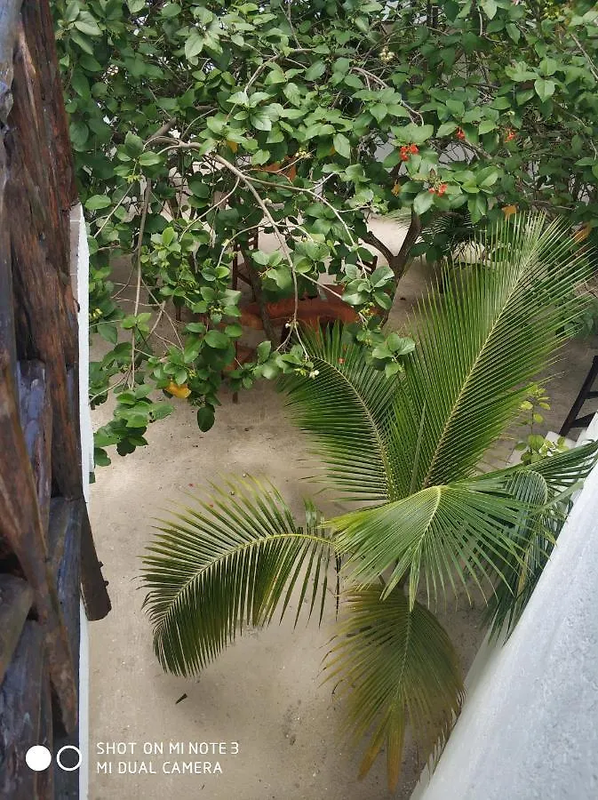 Posada Yalekin Holbox Hotel Isola Holbox